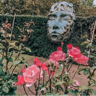 emilia.travelblog's profile picture